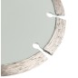 GRAPHITE 57T306 Tarcza diamentowa do cięcia segmentowa, 115 x 22.2 mm, na sucho i mokro