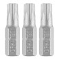 GRAPHITE 56T519 Bity Torx T30 x 25 mm, 3 szt.