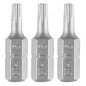 GRAPHITE 56T523 Bity Torx T15 x 25 mm, 3 szt.