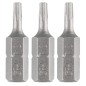 GRAPHITE 56T524 Bity Torx T10 x 25 mm, 3 szt.